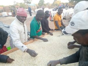 Read more about the article Petauke Headman praises govt. for empowering citizens