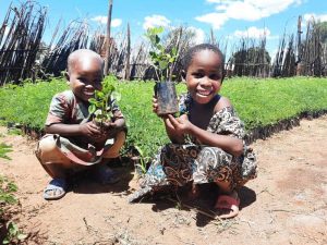 Read more about the article ABSA launches tree planting school competition