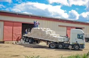 Read more about the article 120 TONNES OF MAIZE DELIVERED TO LUANGWA FOR COMMUNITY SALES