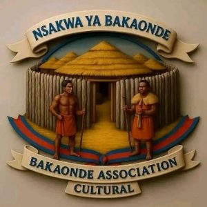 Read more about the article GOVERNMENT COMMENDED FOR REMOVAL OF ILLEGAL MINERS AT KIKONGE