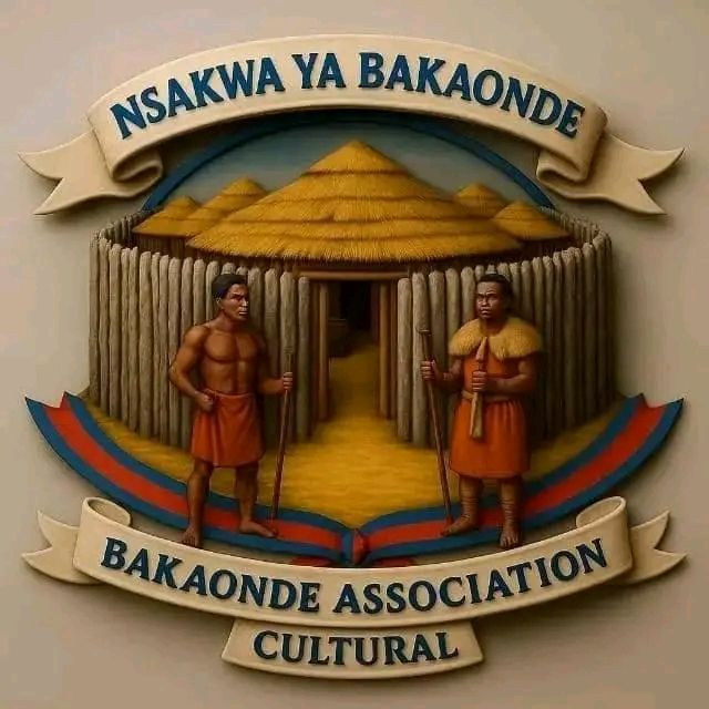 Read more about the article GOVERNMENT COMMENDED FOR REMOVAL OF ILLEGAL MINERS AT KIKONGE