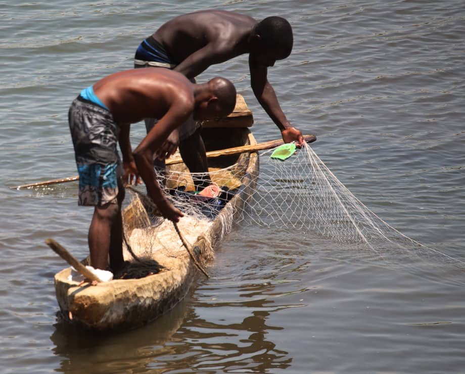 You are currently viewing 200kg of Fish Seized in Mwense Fishing Ban Operation