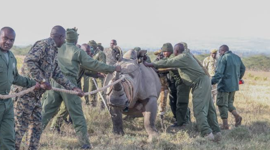 Read more about the article WILDLIFE OFFICERS REMEMBERED FOR BRAVERY