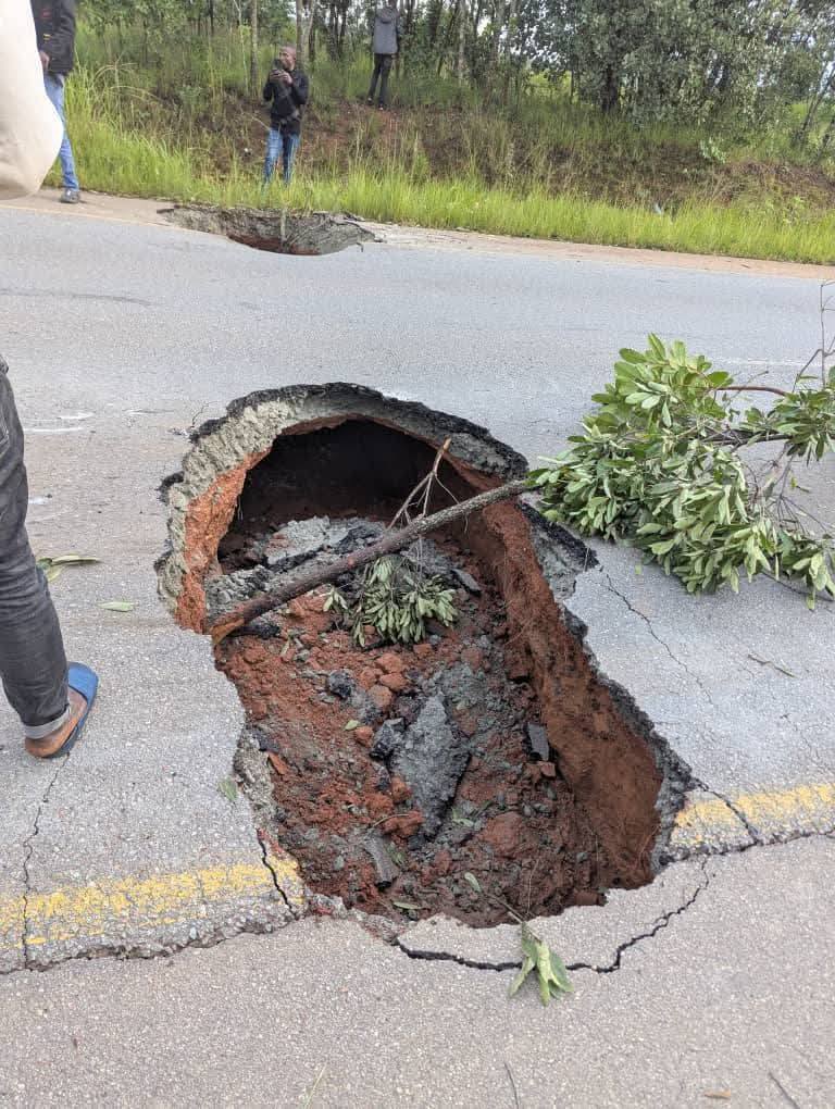 You are currently viewing 