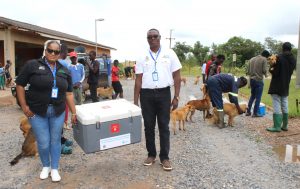 Read more about the article ZNPHI BOOSTS MASS DOG VACCINATION EXERCISE IN CHONGWE