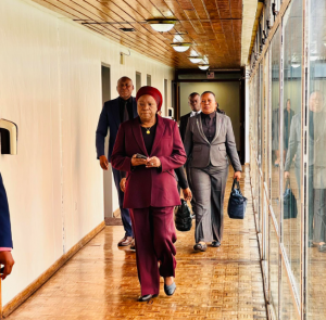 Read more about the article 