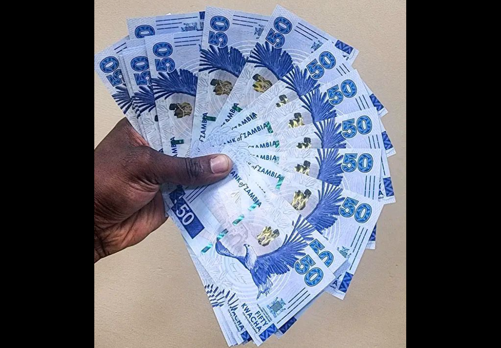 You are currently viewing LABOUR MOVEMENT PRAISES GOVERNMENT FOR EXTRA NAPSA WITHDRAWALS