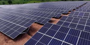 Read more about the article PETAUKE IDENTIFIES SOLAR SITES UNDER PCEI