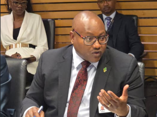 You are currently viewing GOVERNMENT ALLOCATES LAND TO ECOSSOC