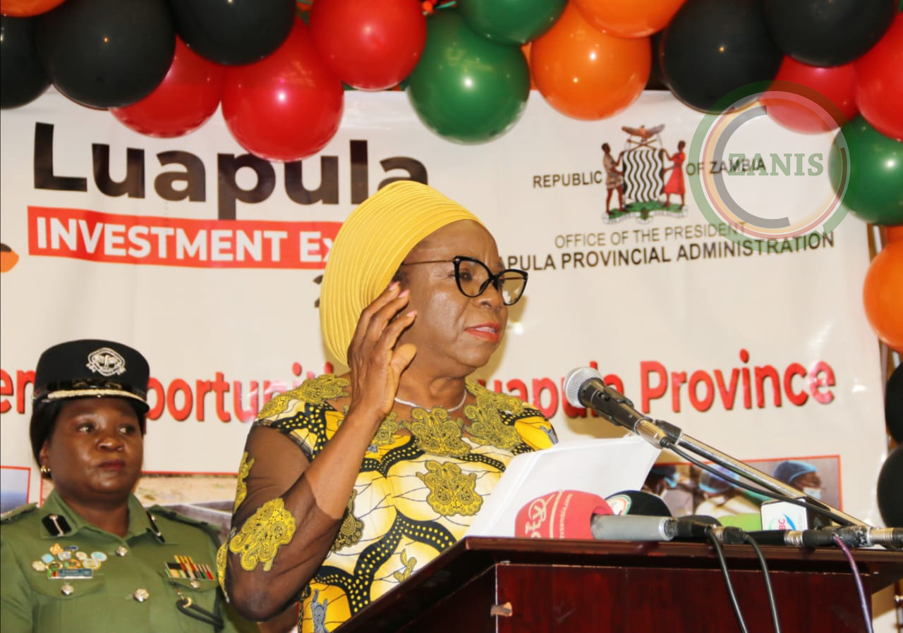 You are currently viewing VEEP CALLS FOR MORE INVESTOR PARTNERSHIPS