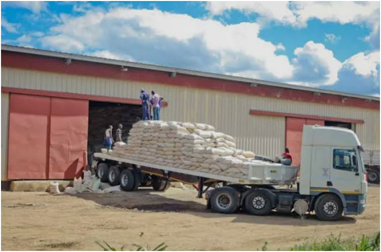 You are currently viewing GOVT. LAUDED FOR REMOVAL OF RESTRICTIONS ON MAIZE GRAIN EXPORTS