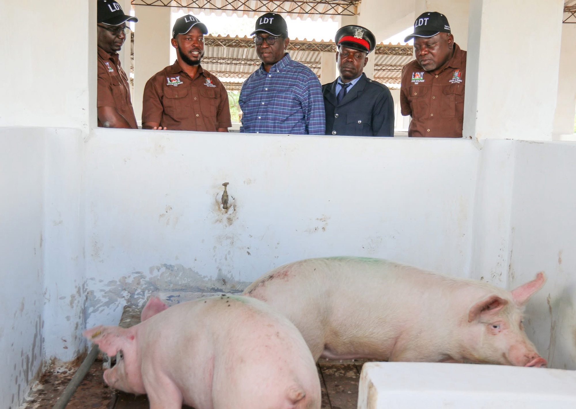 Read more about the article PETAUKE LIVESTOCK MARKET REOPENED AFTER K2.8 MILLION REHAB