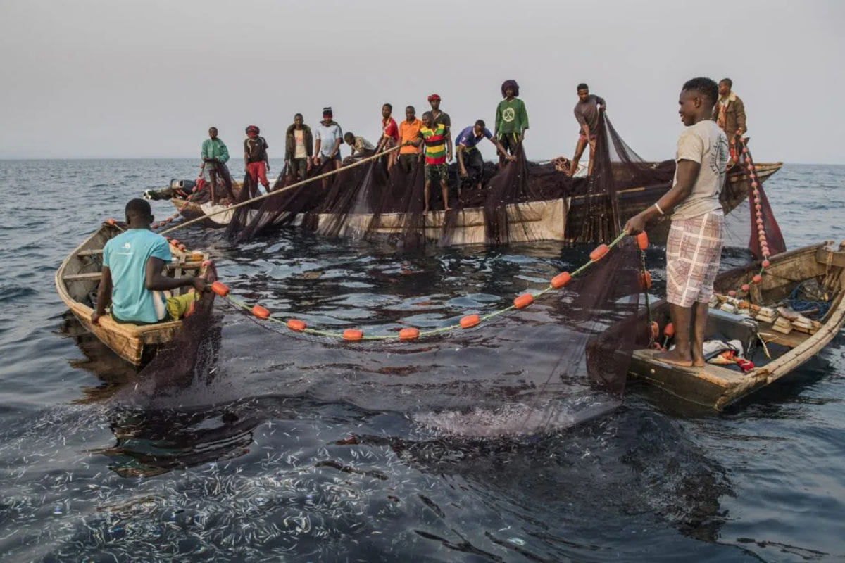 You are currently viewing LAKE TANGANYIKA FISH BAN STILL IN EFFECT